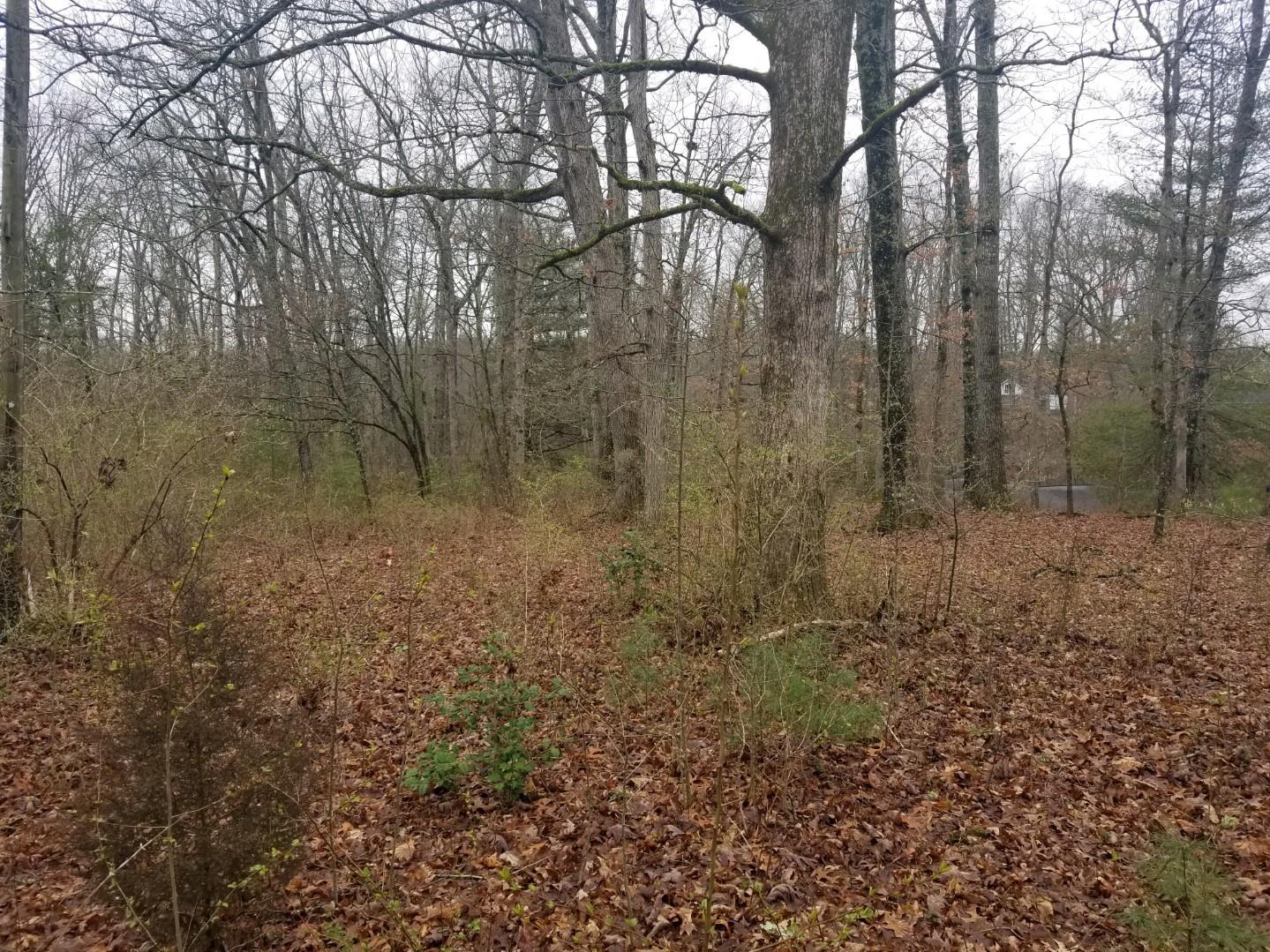 Wells Road Crossville, TN 38555 - Photo 1 of 4 1