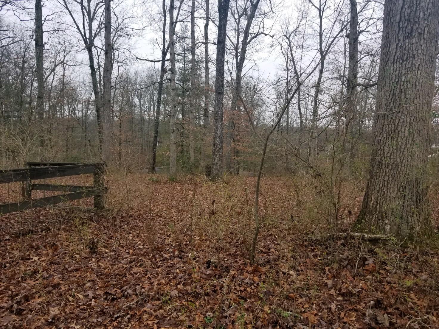 Wells Road Crossville, TN 38555 - Photo 2 of 4 2