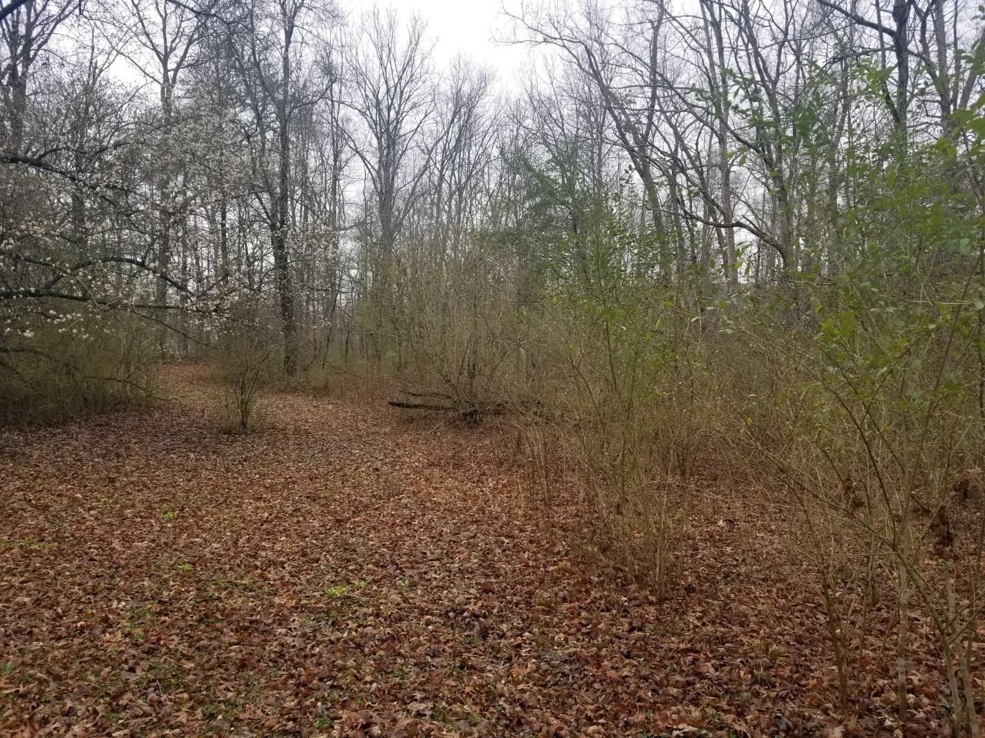 Wells Road Crossville, TN 38555 - Photo 3 of 4 3