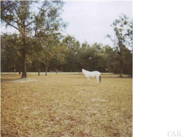 Lot 1 Haybarn Road Holt, FL 32564 - Photo 1 of 1 Gallery Image 1