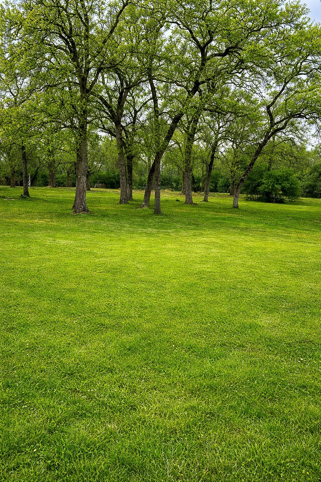 7031 Red Rock Road Franklin, TX 77856 - Photo 14 of 17 a view of outdoor space with deck and yard