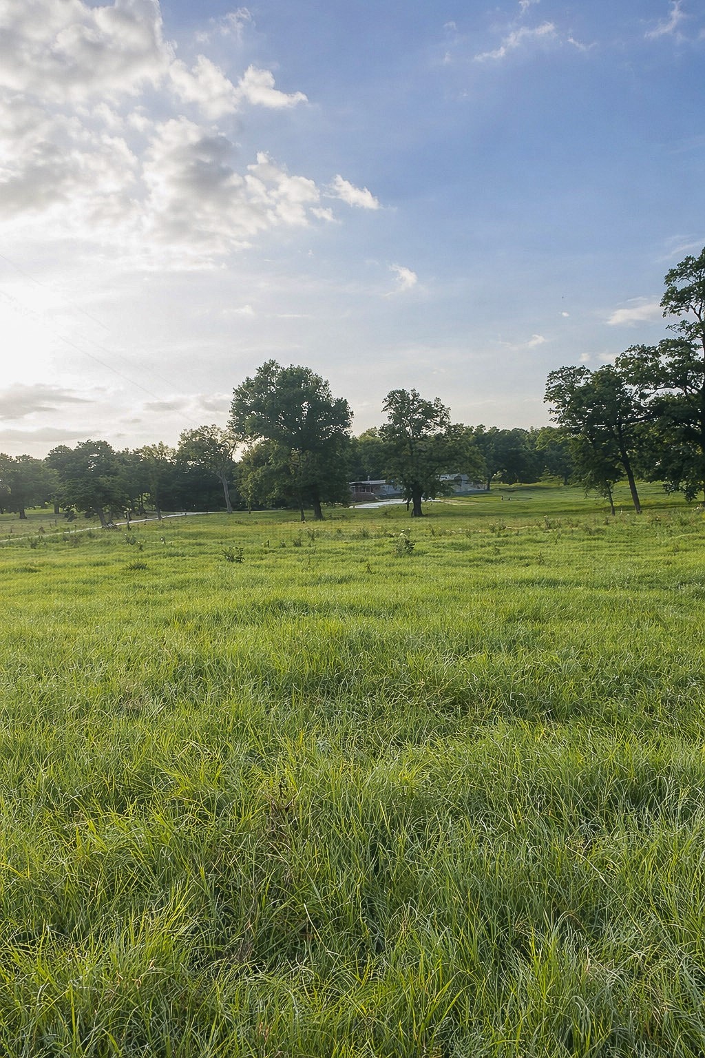 7031 Red Rock Road Franklin, TX 77856 - Photo 15 of 17 a view of a field with an ocean