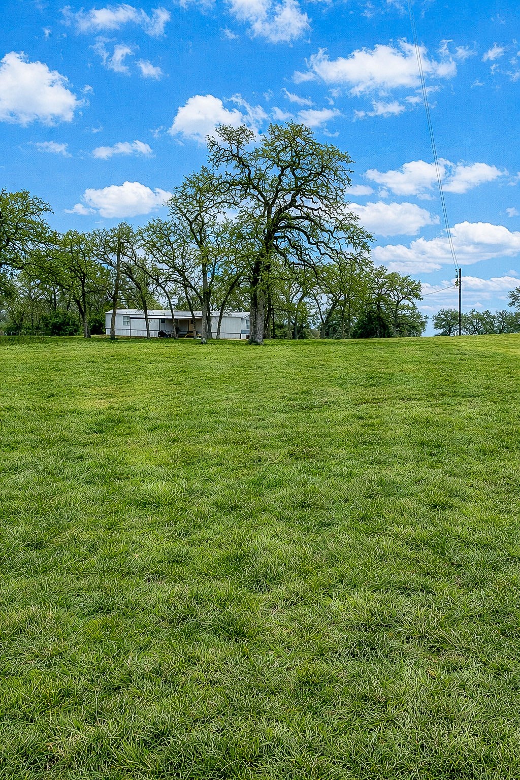 7031 Red Rock Road Franklin, TX 77856 - Photo 3 of 17 a view of a field with an trees
