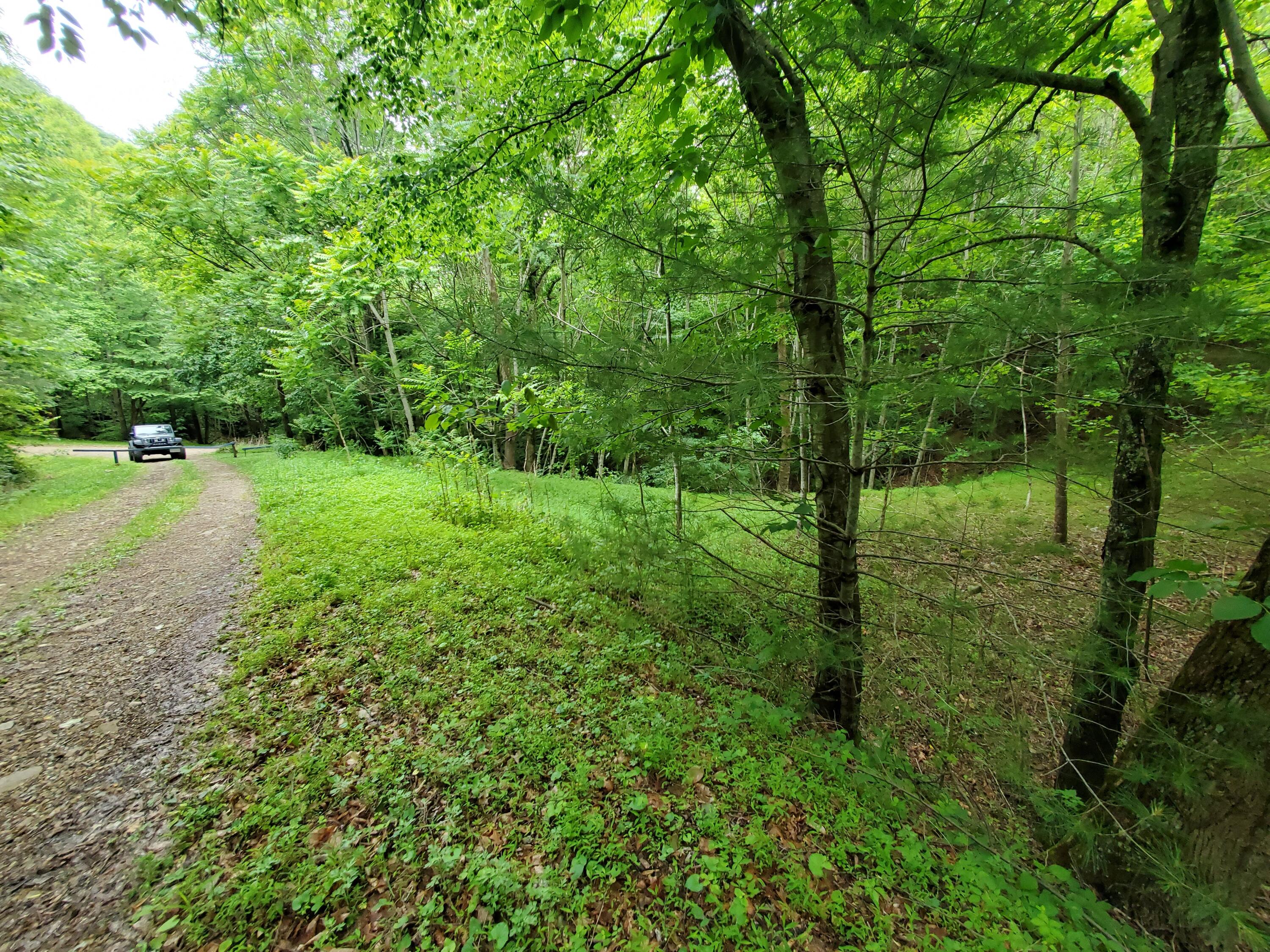 Lot 4 Bailey Hollow Road, Unit 4 Erwin, TN 37650 - Photo 1 of 21 1