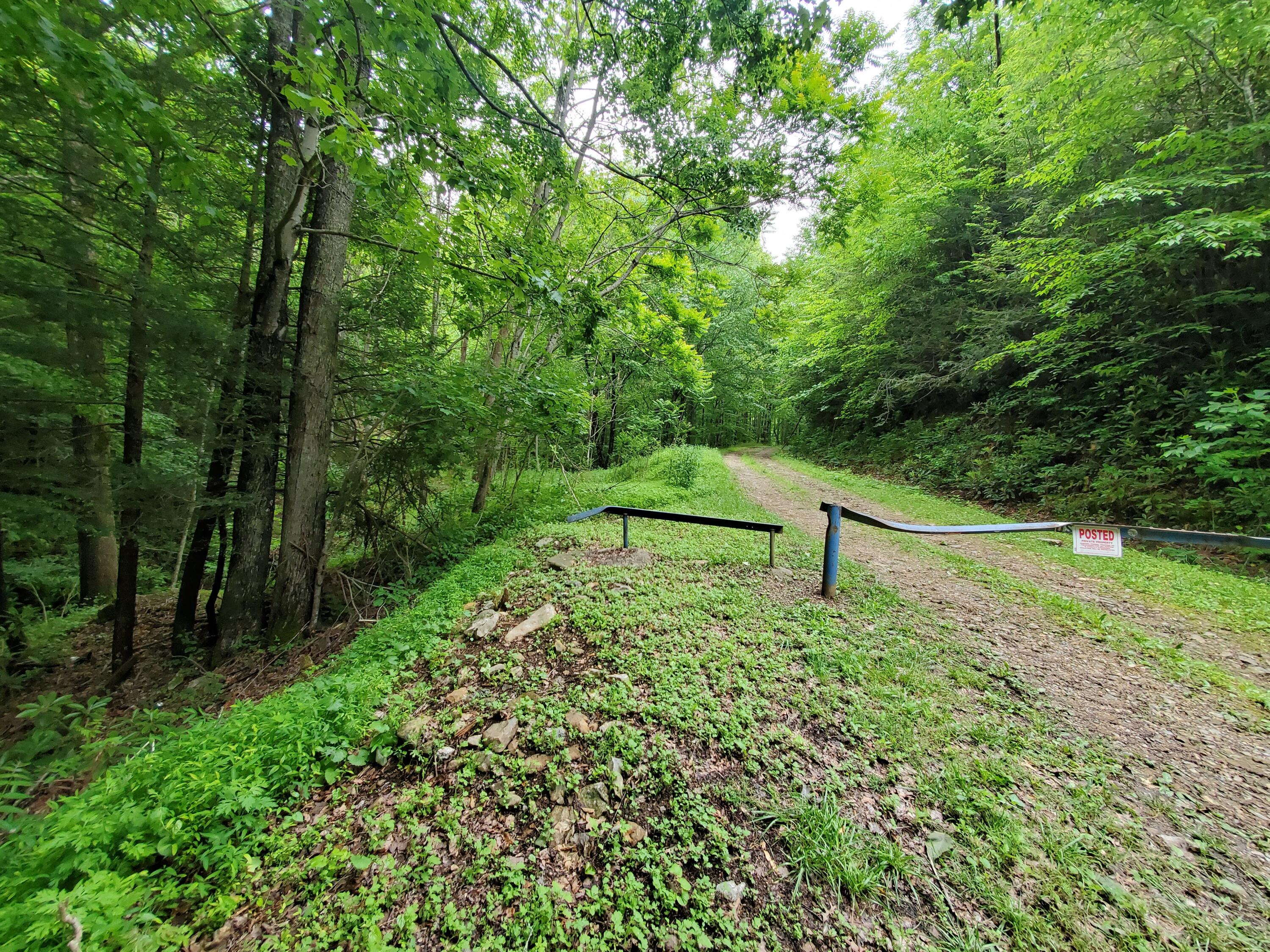 Lot 4 Bailey Hollow Road, Unit 4 Erwin, TN 37650 - Photo 15 of 21 15