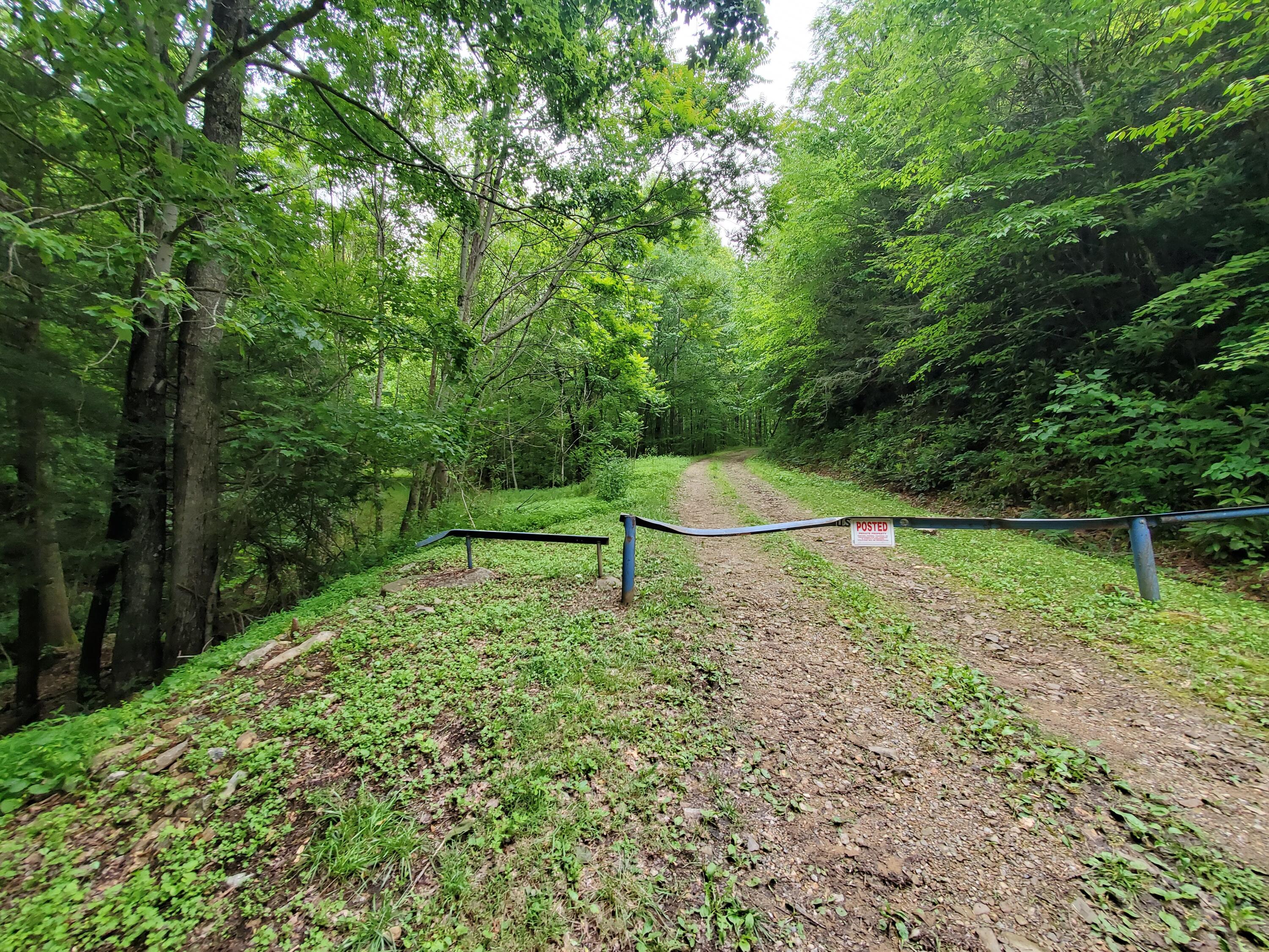 Lot 4 Bailey Hollow Road, Unit 4 Erwin, TN 37650 - Photo 17 of 21 15b