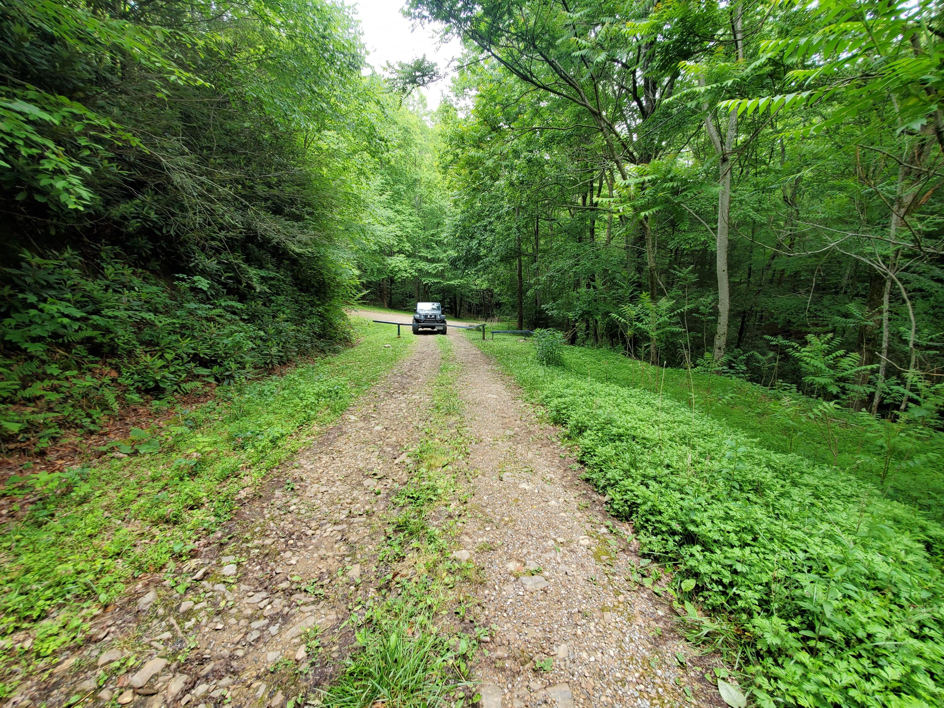 Lot 4 Bailey Hollow Road, Unit 4 Erwin, TN 37650 - Photo 7 of 21 7