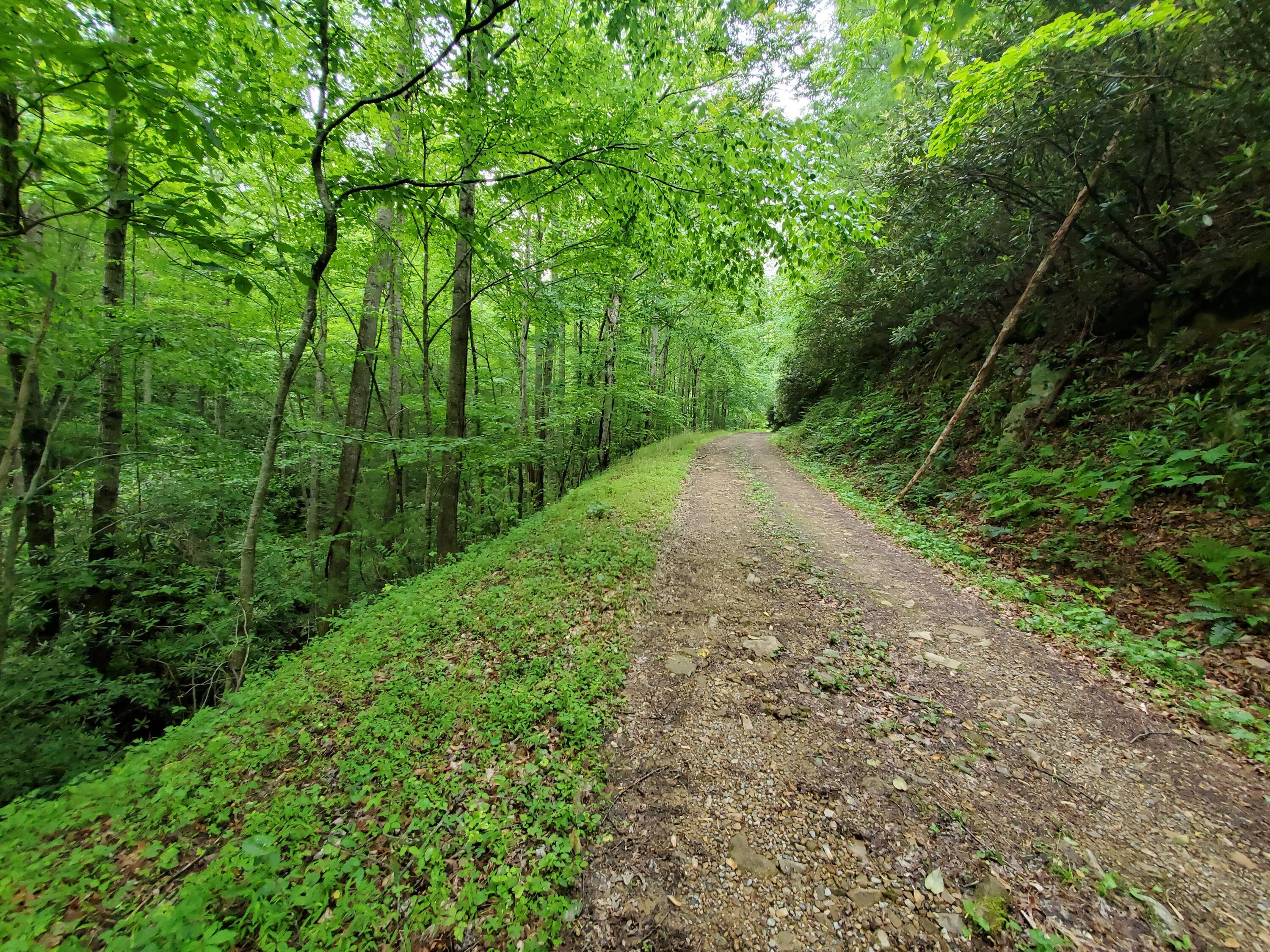 Lot 4 Bailey Hollow Road, Unit 4 Erwin, TN 37650 - Photo 9 of 21 9
