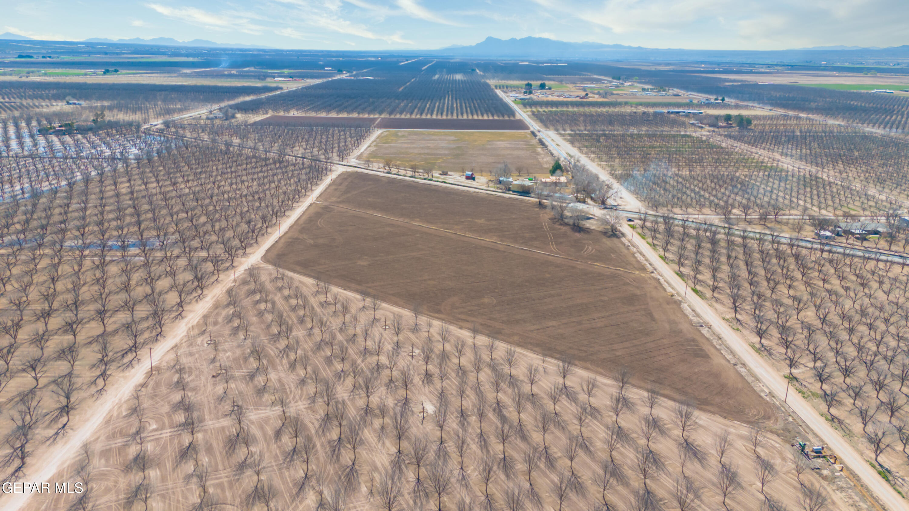 844 Fabens Island Road Clint, TX 79836 - Photo 16 of 20 DJI_20260223102246_0673_D-Edit