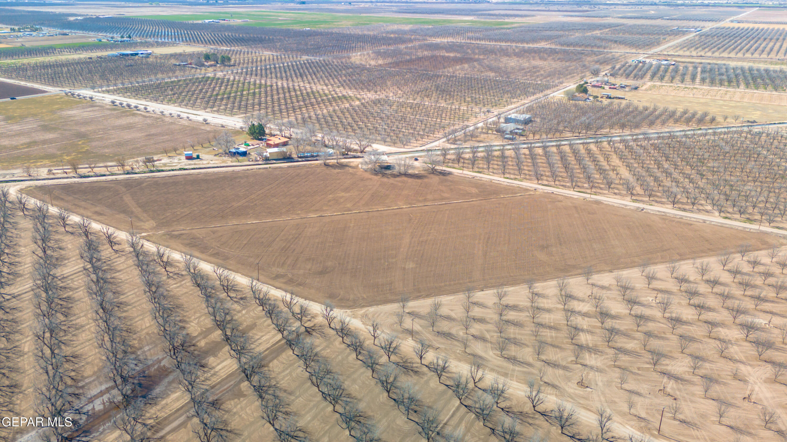 844 Fabens Island Road Clint, TX 79836 - Photo 17 of 20 DJI_20260223102332_0675_D