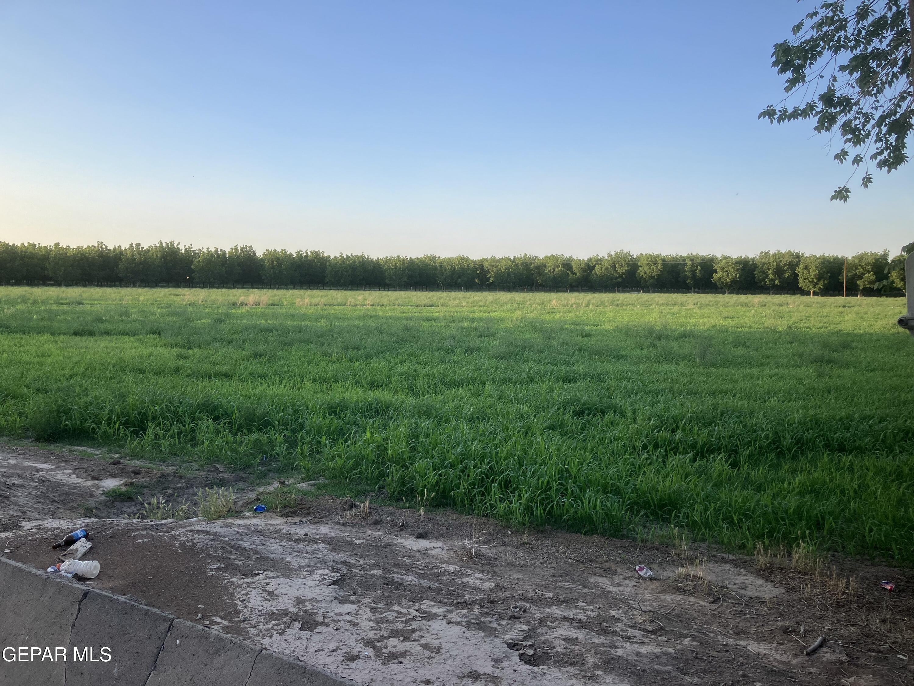 844 Fabens Island Road Clint, TX 79836 - Photo 2 of 20 IMG_20260303_015427