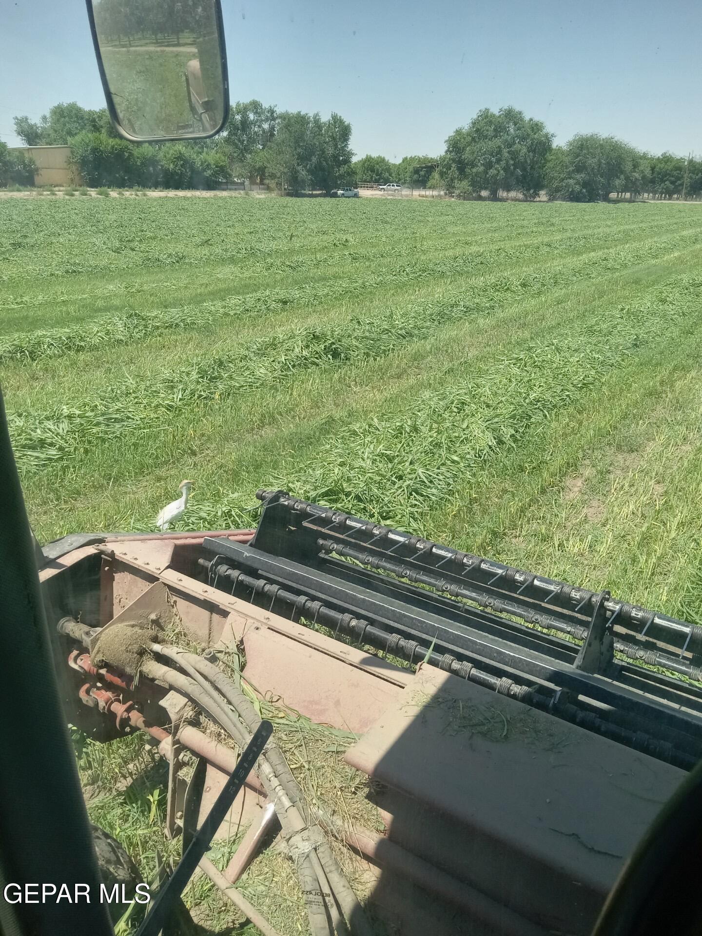 844 Fabens Island Road Clint, TX 79836 - Photo 3 of 20 IMG_20260303_015427 (1)