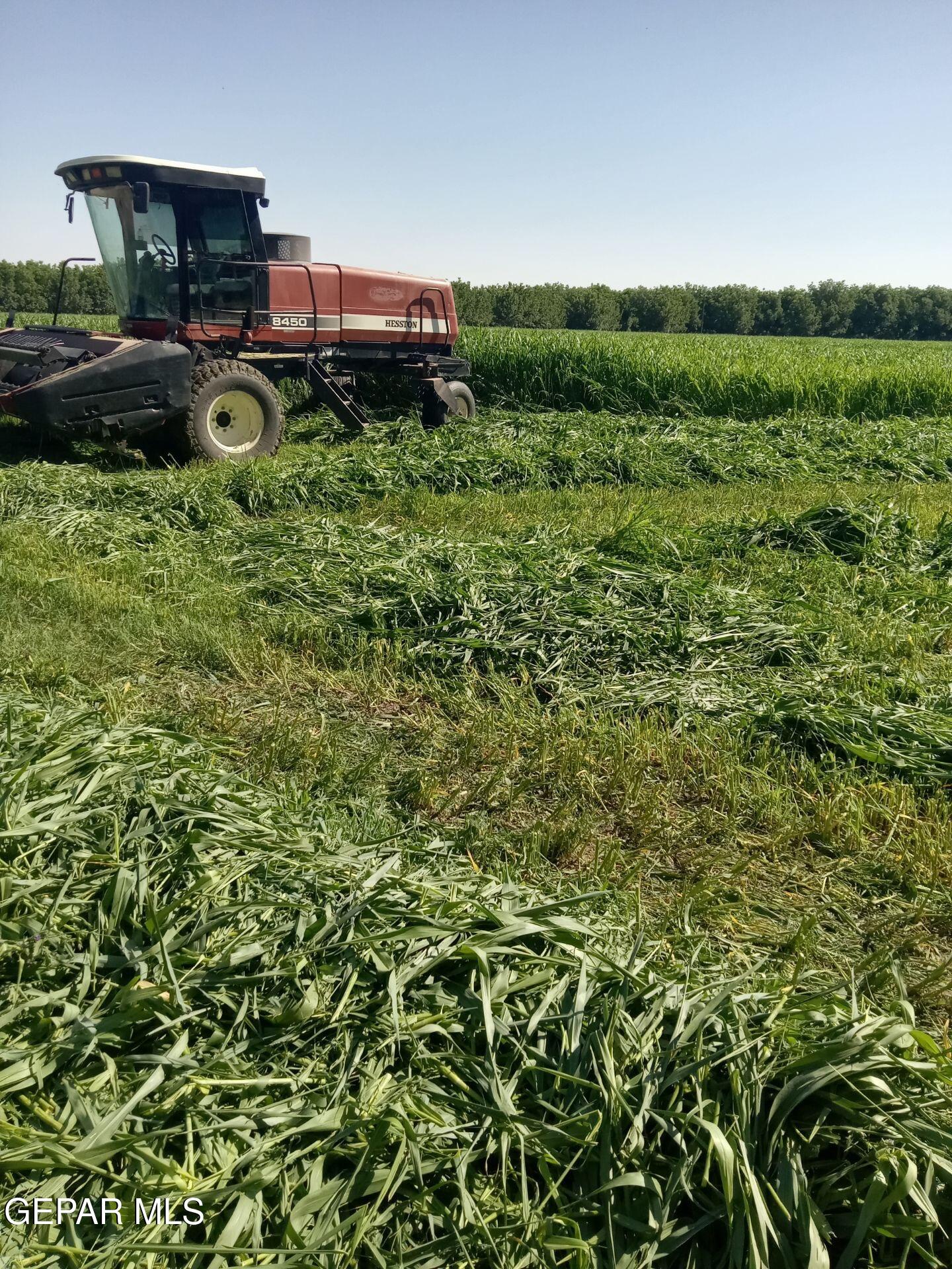 844 Fabens Island Road Clint, TX 79836 - Photo 4 of 20 IMG_20260303_015427 (2)