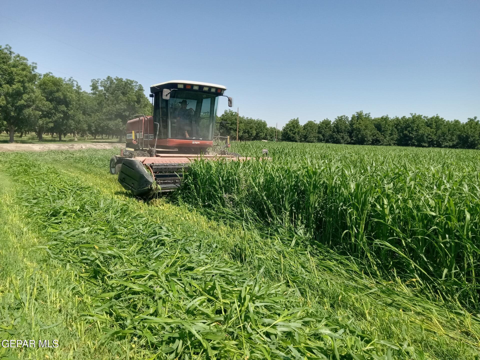 844 Fabens Island Road Clint, TX 79836 - Photo 5 of 20 IMG_20260303_015427 (3)