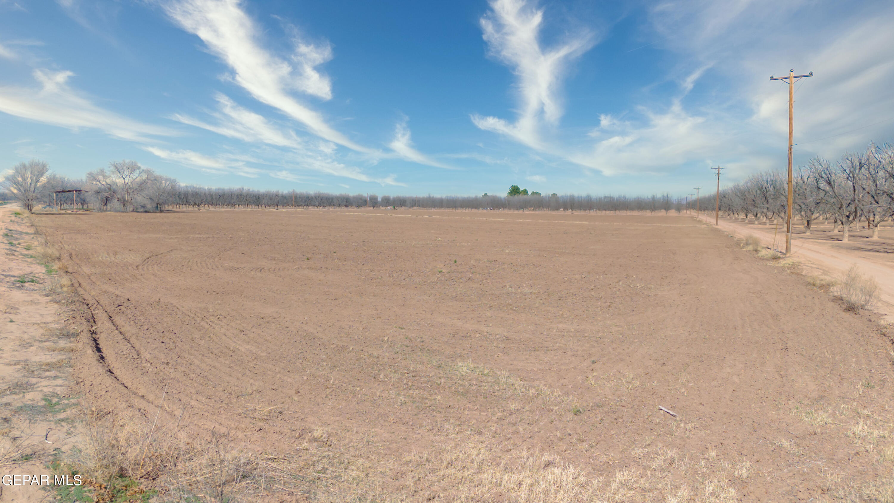 844 Fabens Island Road Clint, TX 79836 - Photo 7 of 20 DJI_20260223102623_0680_D-Edit