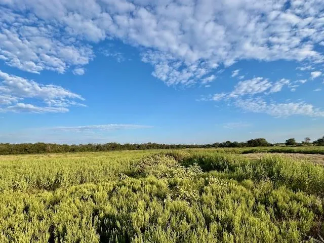 a view of lake and mountain