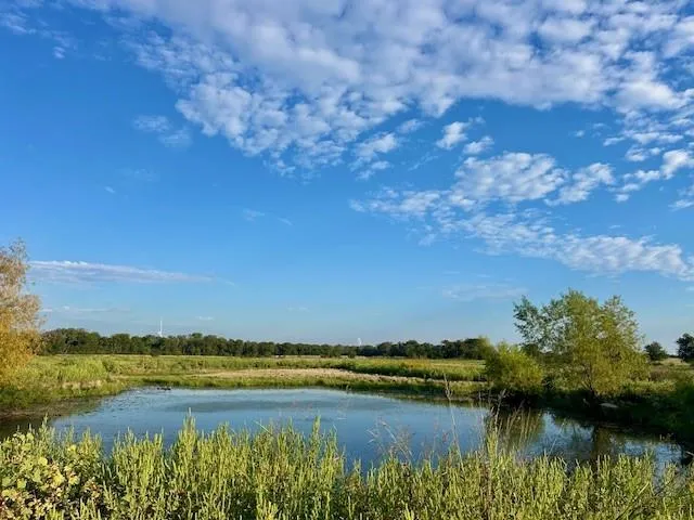 a view of lake and mountain