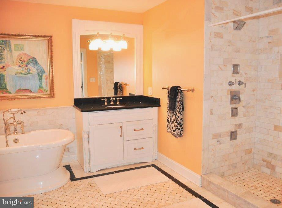 507 West Harbor Road St. Michaels, MD 21663 - Photo 13 of 25 soaking tub and large walk in shower