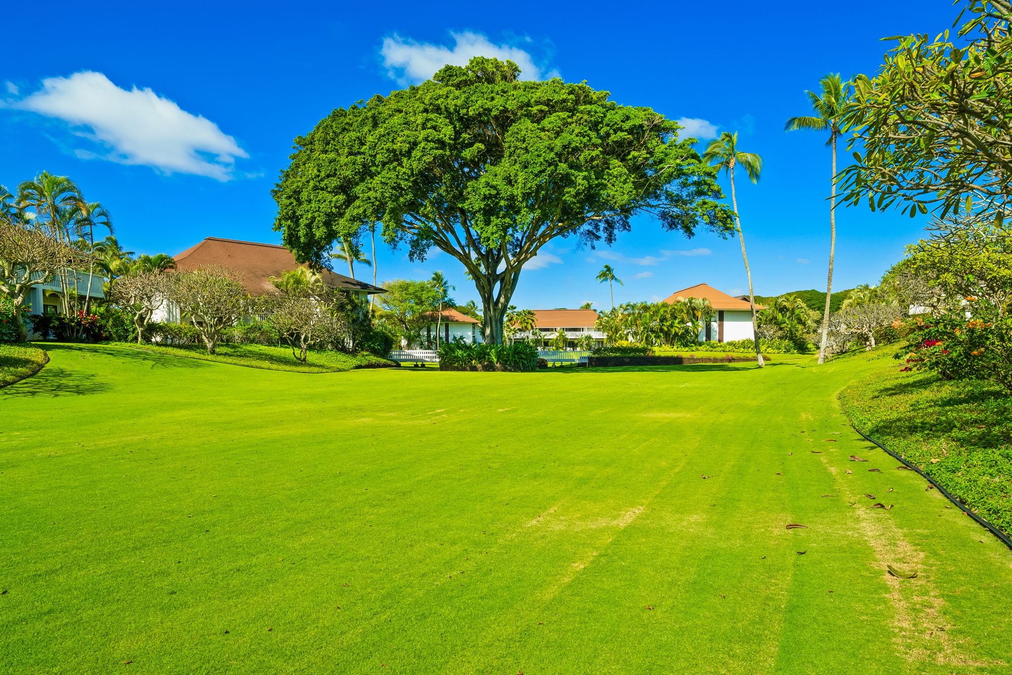 2253 Poipu Road, Unit 55 Koloa, HI 96756 - Photo 16 of 21 a view of a field with an tree