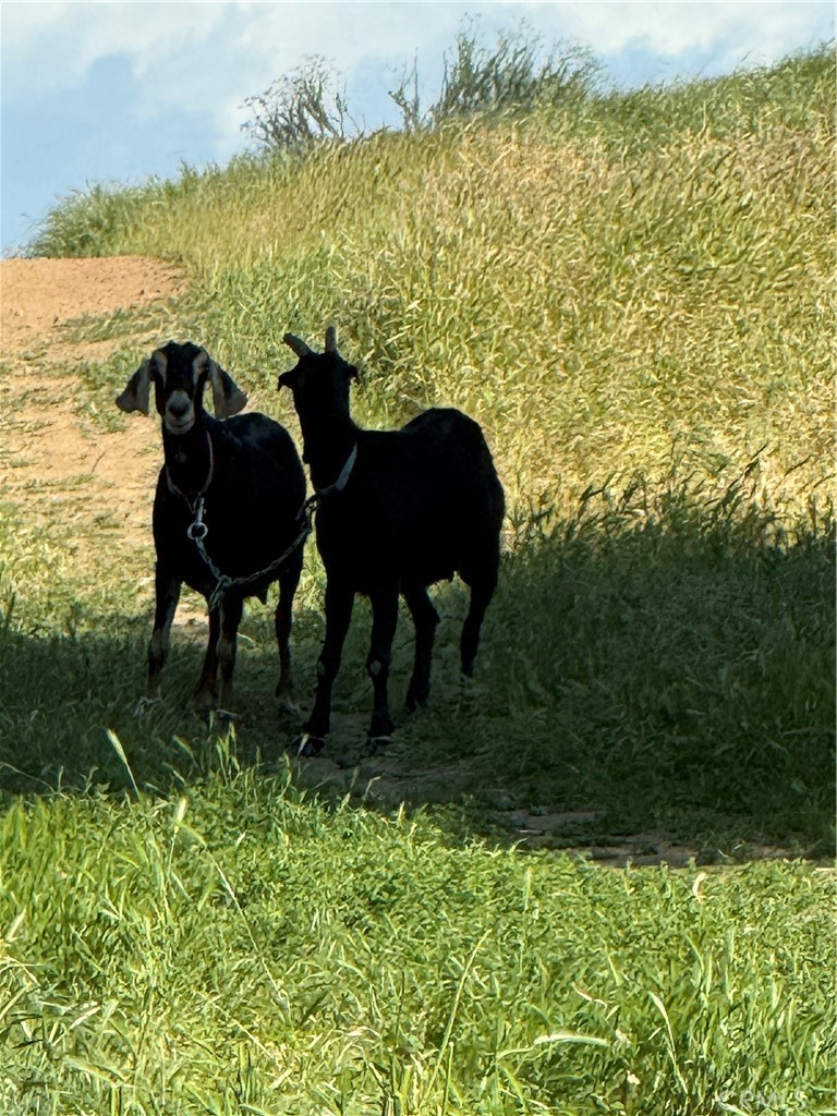 23816 Johnson Lane Menifee, CA 92587 - Photo 4 of 5 a view of a lake with a table and chairs