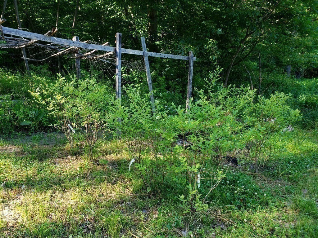 31 Goss Hill Road Huntington, MA 01050 - Photo 6 of 20 a backyard of a house with lots of green space and a lake view