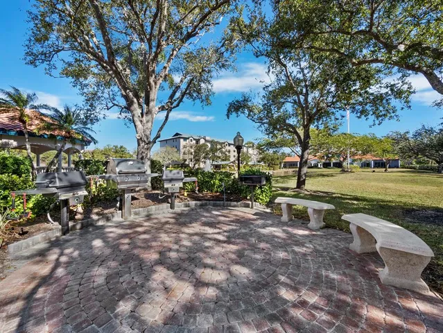 a view of a park with large trees