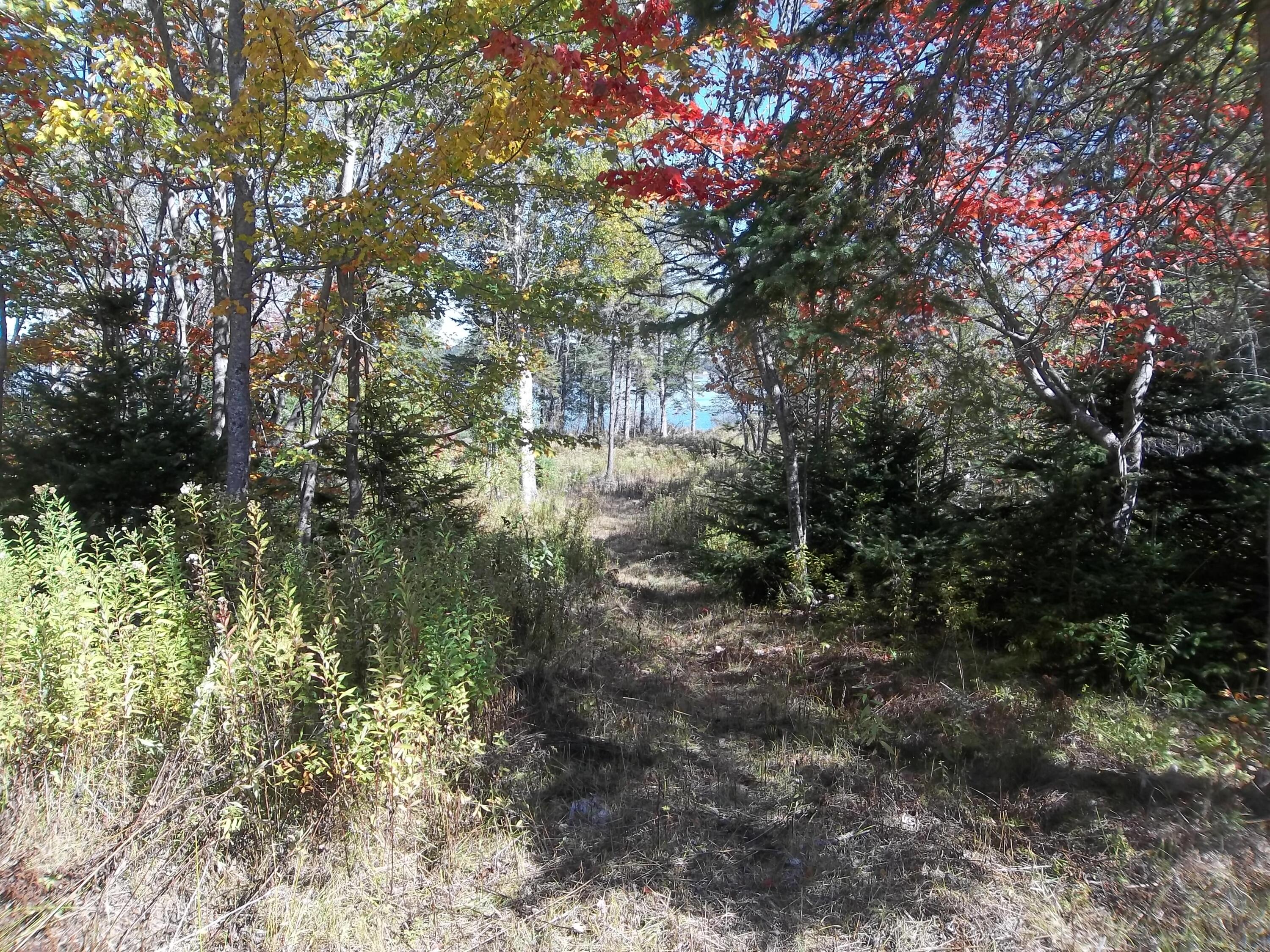 17 Indian Road Eastport, ME 04631 - Photo 11 of 12 100_2453