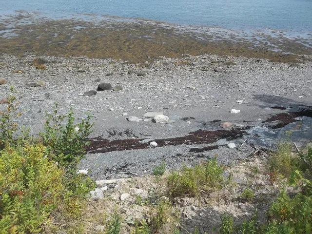 $419,000 | 17 Indian Road, Eastport, ME 04631