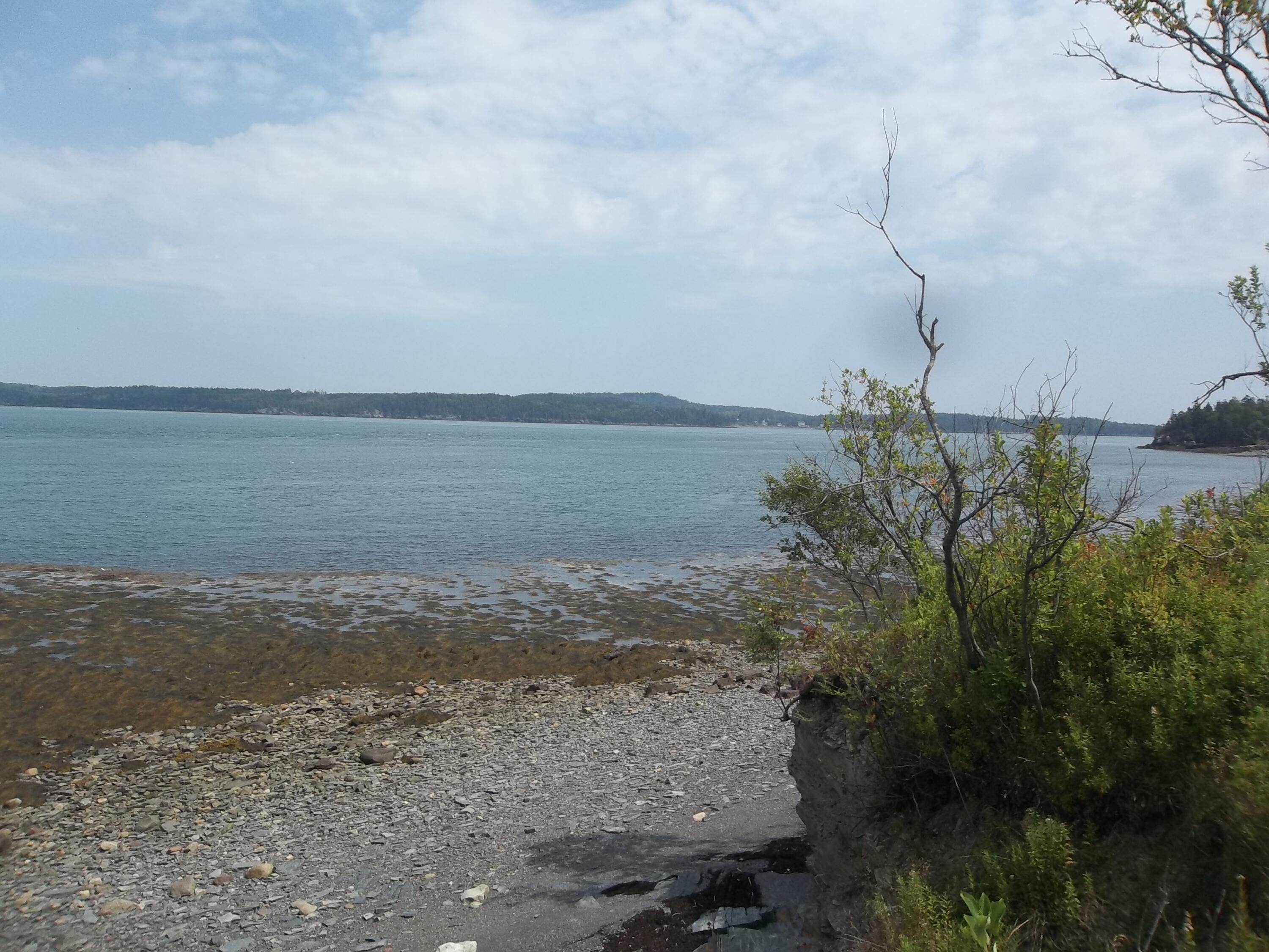 17 Indian Road Eastport, ME 04631 - Photo 4 of 12 100_2389