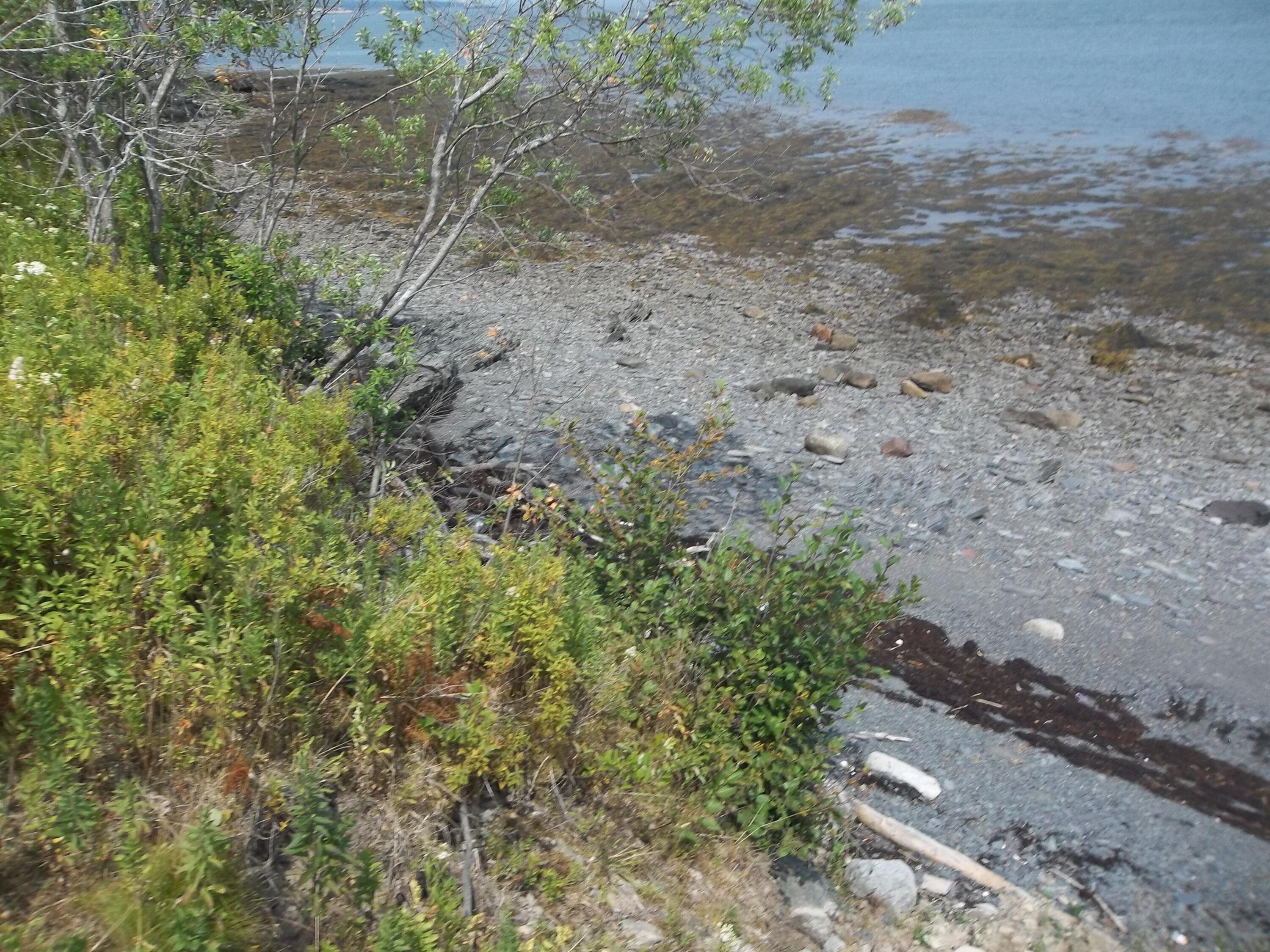 17 Indian Road Eastport, ME 04631 - Photo 6 of 12 100_2392