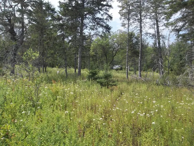 $419,000 | 17 Indian Road, Eastport, ME 04631