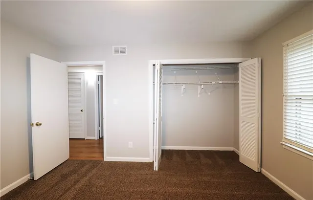 a view of a lush green forest