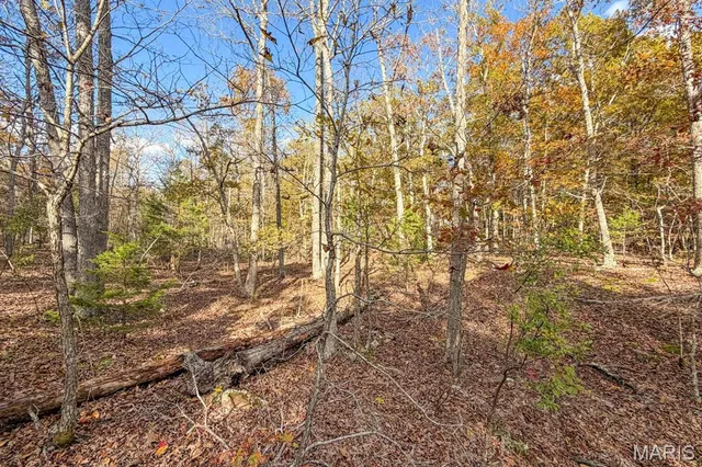 $450,000 | 2532 County Road 2330, Salem, MO 65560