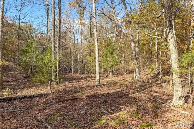 $450,000 | 2532 County Road 2330, Salem, MO 65560