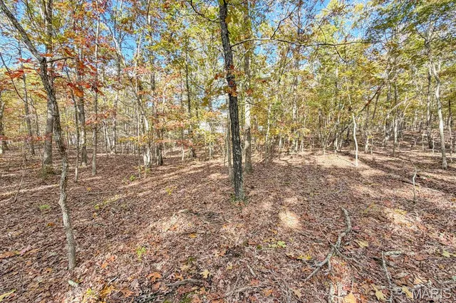 $450,000 | 2532 County Road 2330, Salem, MO 65560