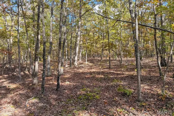 $399,000 | 2532 County Road 2330, Salem, MO 65560