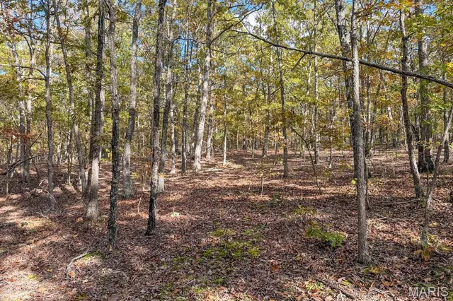 $450,000 | 2532 County Road 2330, Salem, MO 65560