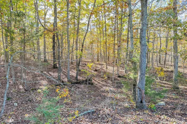 $450,000 | 2532 County Road 2330, Salem, MO 65560