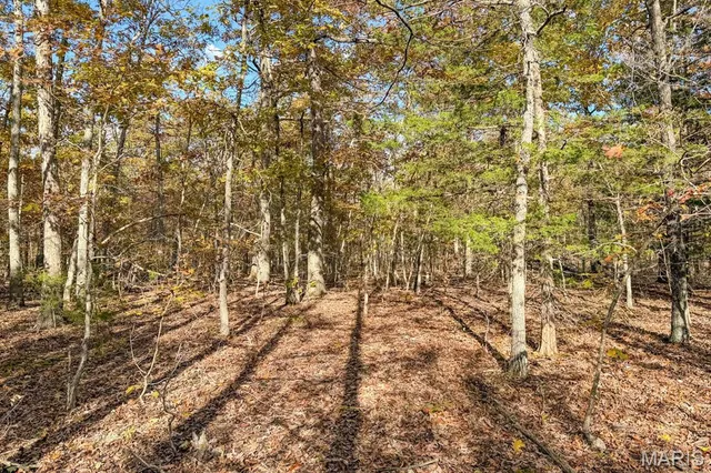 $450,000 | 2532 County Road 2330, Salem, MO 65560