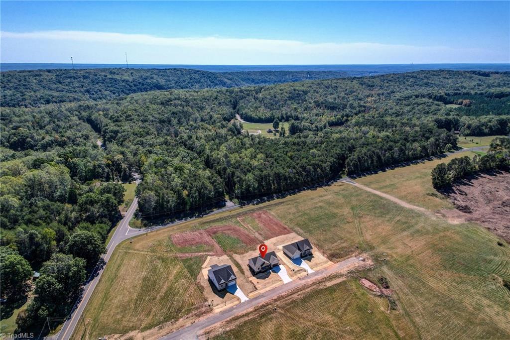 180 Mayo River Road Mayodan, NC 27027 - Photo 4 of 50 Gallery Image 4