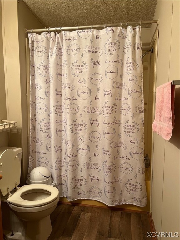 1092 Saunders Lane Meherrin, VA 23954 - Photo 14 of 19 a bathroom with a shower curtain and a toilet