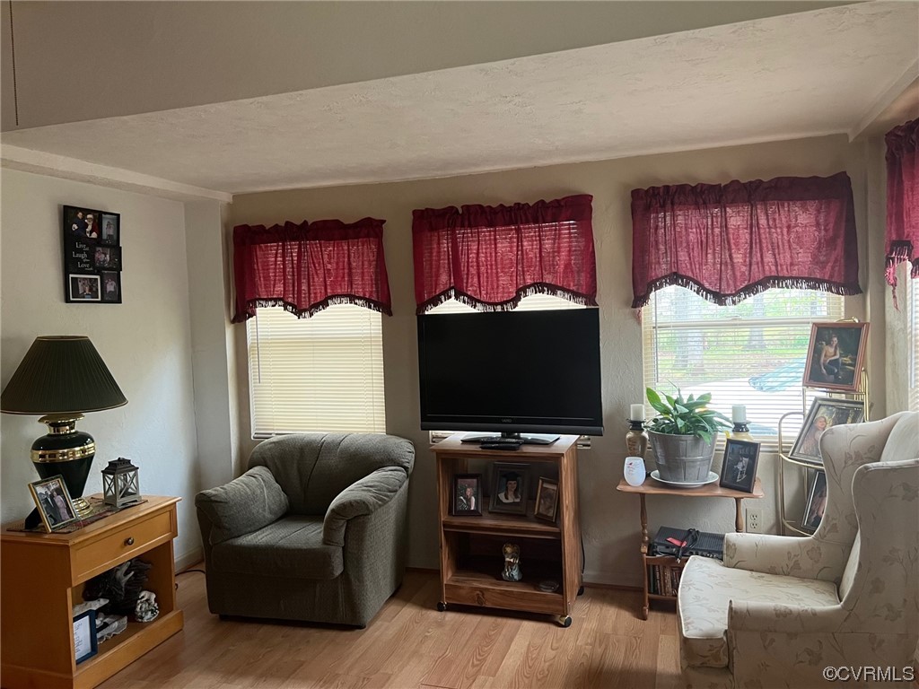 1092 Saunders Lane Meherrin, VA 23954 - Photo 3 of 19 a living room with furniture a flat screen tv and a fireplace