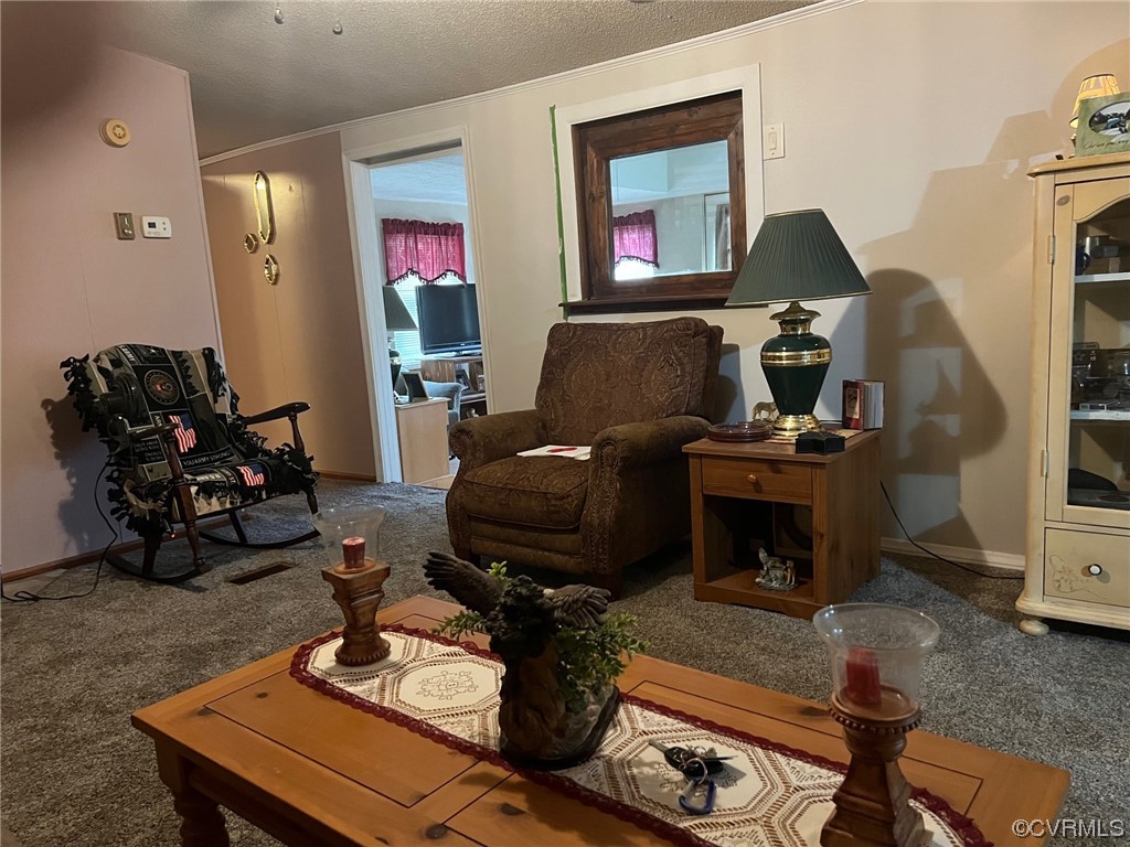 1092 Saunders Lane Meherrin, VA 23954 - Photo 5 of 19 a living room with furniture and a fireplace