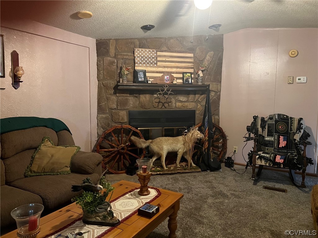 1092 Saunders Lane Meherrin, VA 23954 - Photo 6 of 19 a living room with furniture and a fireplace