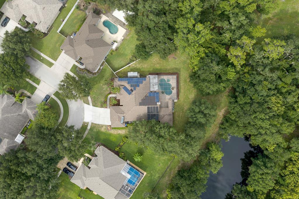 5711 Tanagerside Road Lithia, FL 33547 - Photo 70 of 72