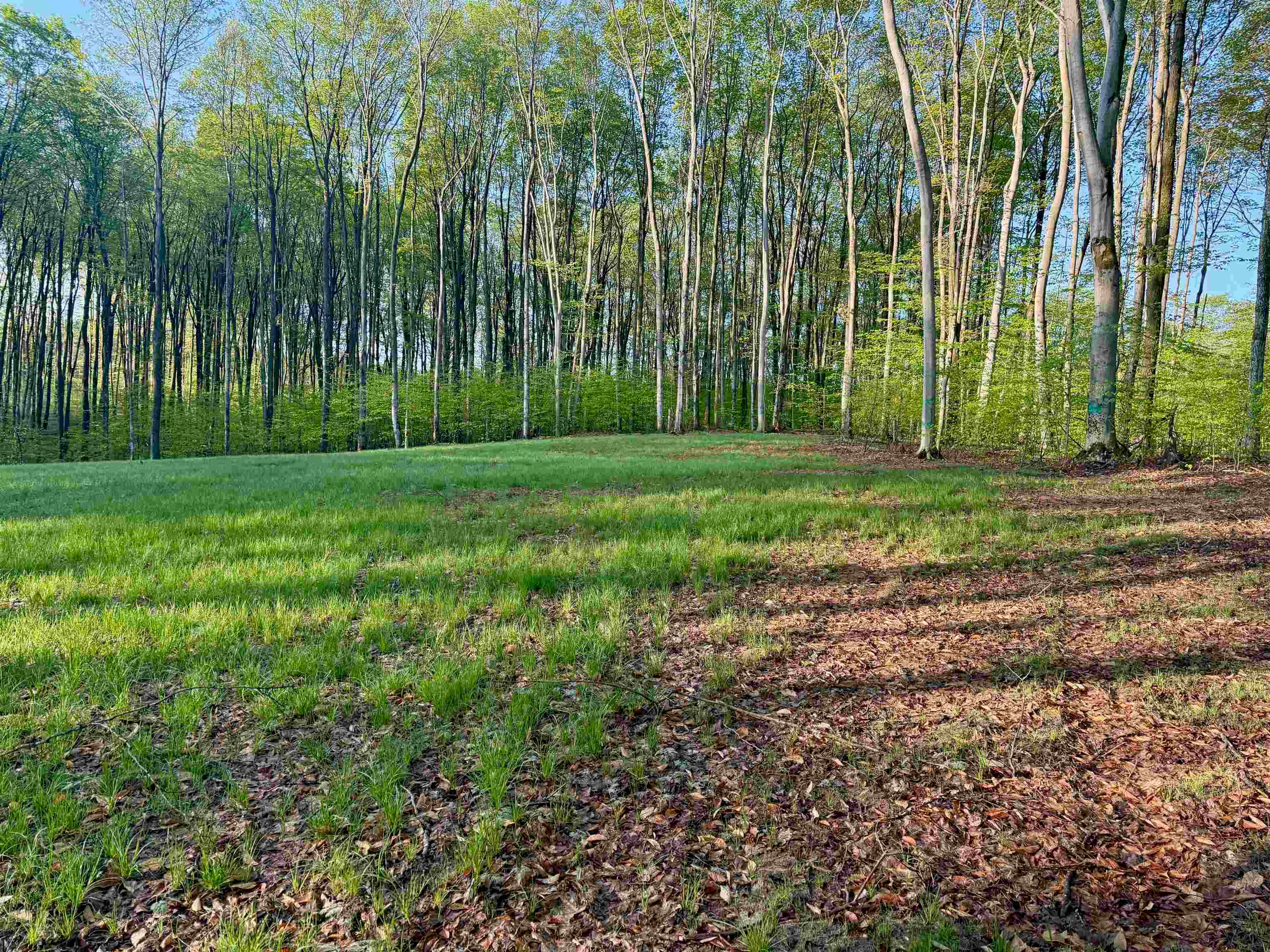 2 South Bright Road, Unit LOT: 2 Maple City, MI 49664 - Photo 6 of 18 Gallery Image 6
