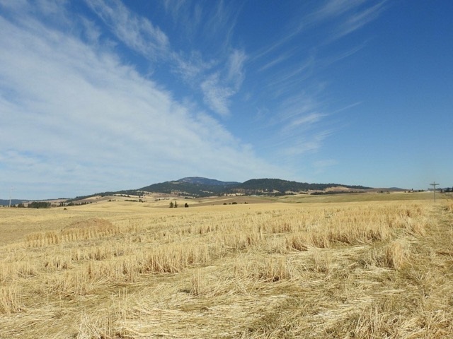 15970 South Madison Road Valleyford, WA 99036 - Photo 8 of 12