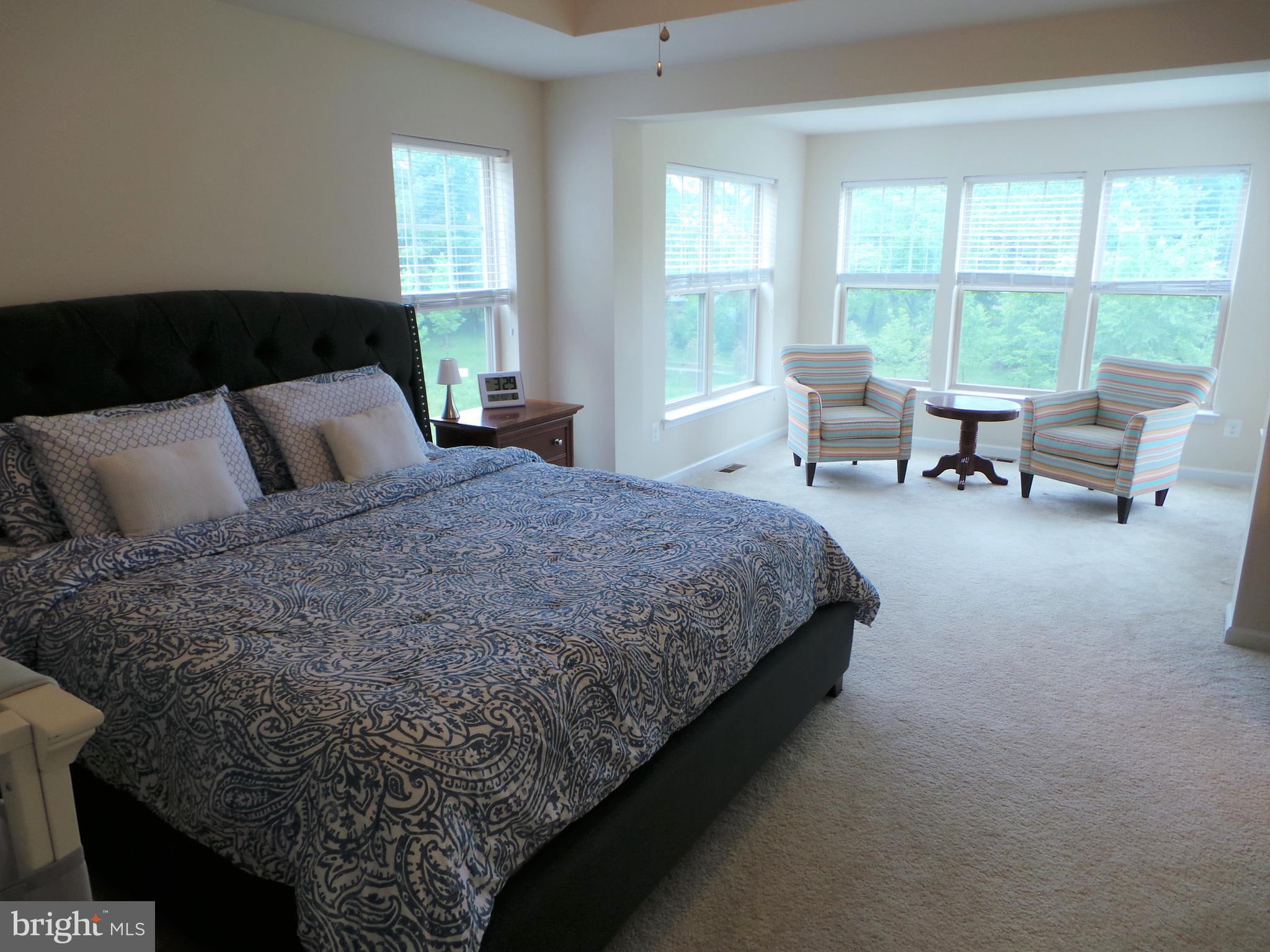 25278 Arrowroot Terrace Chantilly, VA 20152 - Photo 19 of 30 Bedroom (Master)