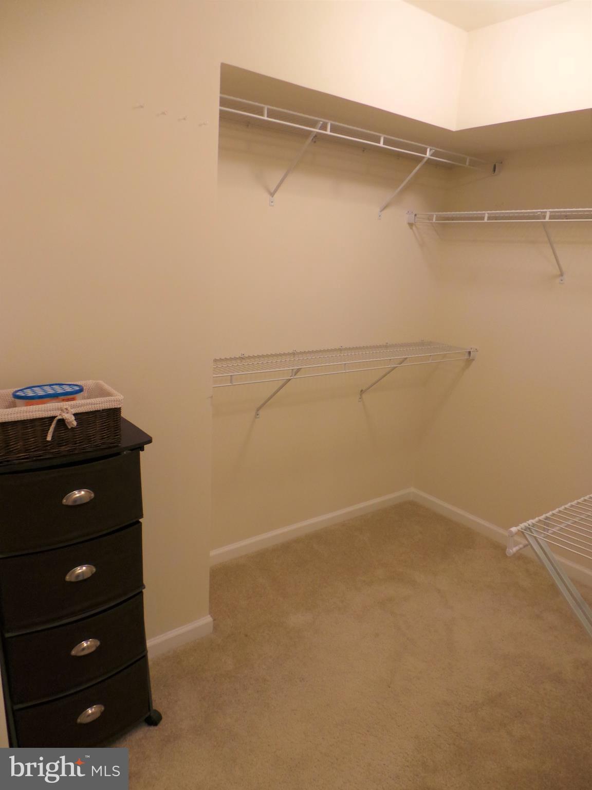 25278 Arrowroot Terrace Chantilly, VA 20152 - Photo 23 of 30 Huge Walk- In closet