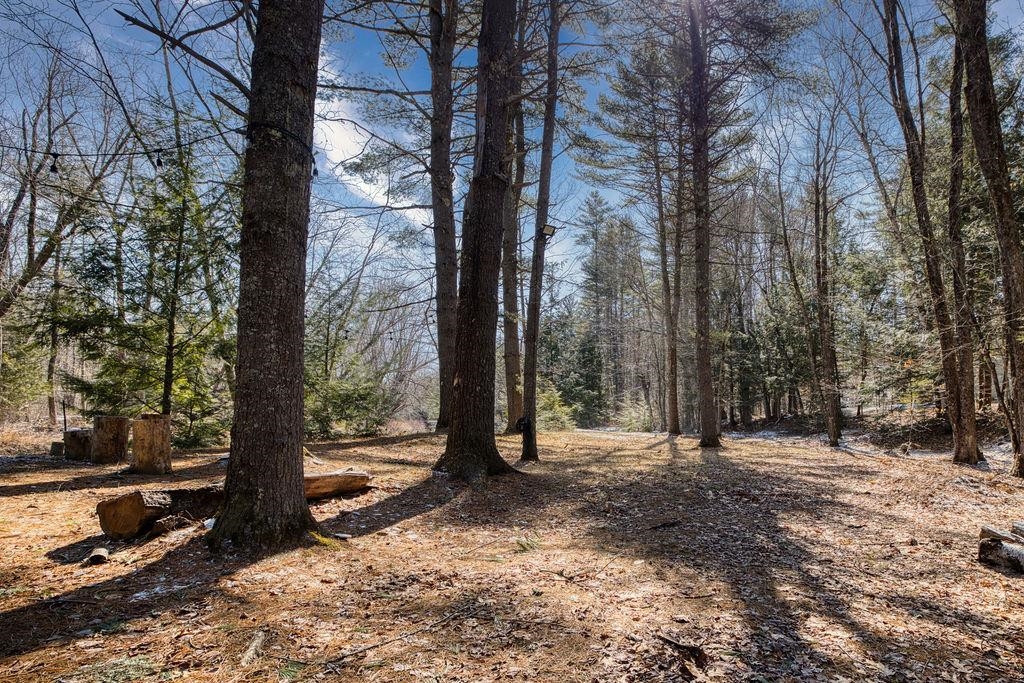 74-76 Newman Drew Road Ossipee, NH 03890 - Photo 9 of 21 Gallery Image 9